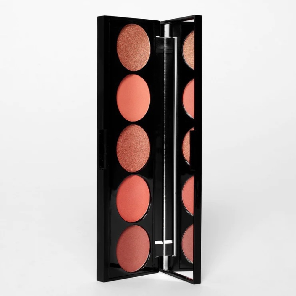 NWT Laritzy ARTISTRY PALETTE IN BURNT